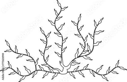 Hand Drawn Seaweed Outline