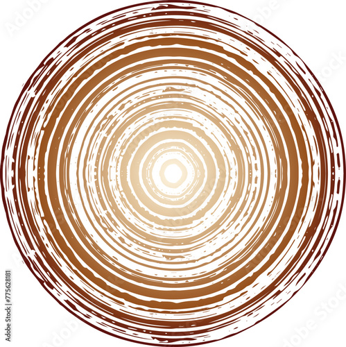 ブラシで描いた年輪のような渦巻き