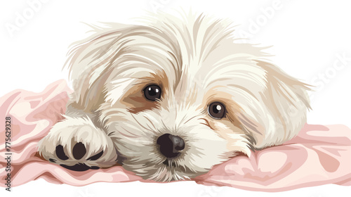A cute white Havanese puppy posing with pink Flat vec