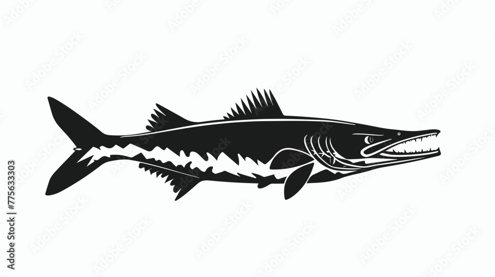 Barracuda Silhouette on White Background. Isolated