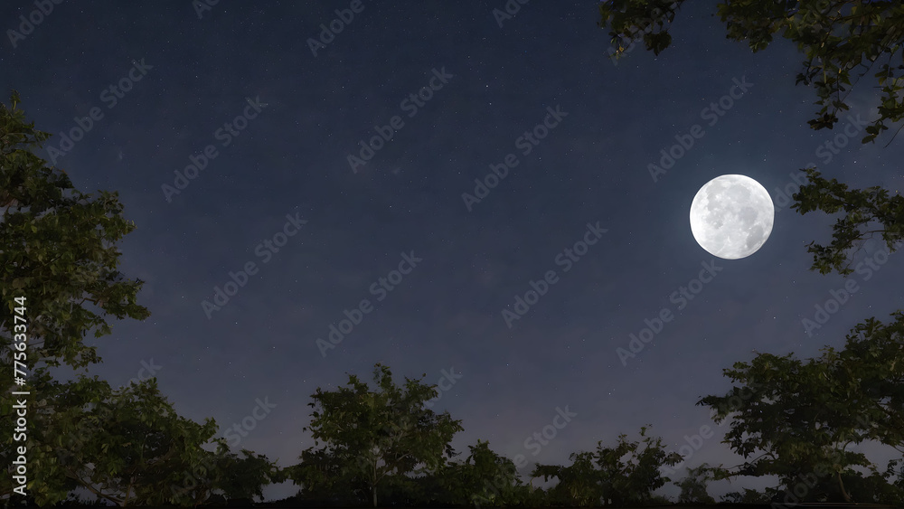 Full Moon Illuminating River and Sky Full Moon Illuminating River and Sky