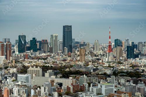 高層ビルから望む都心風景