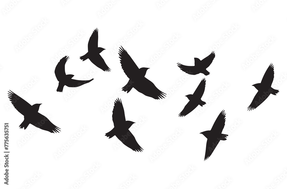 Obraz premium Birds set black silhouette isolated vector