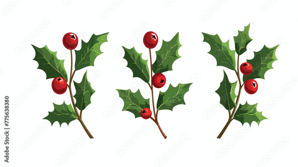 Christmas holly vector illustration isolated on white