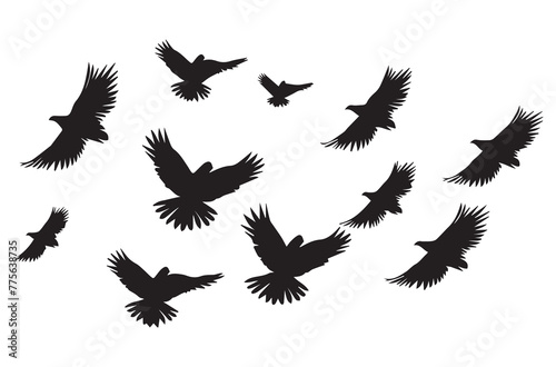 Birds set black silhouette isolated vector