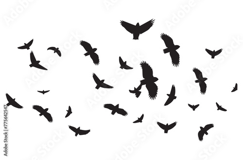 Flying birds black silhouettes set vector © shopone