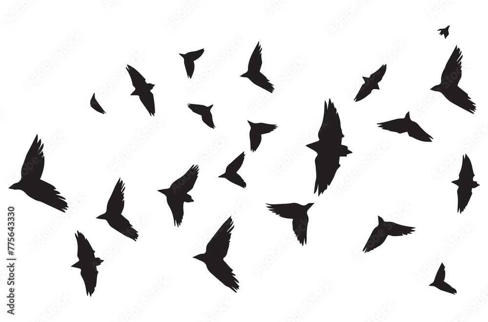 Flying birds black silhouettes set vector Flying birds black silhouettes set vector
