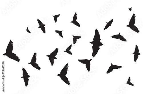 Flying birds black silhouettes set vector