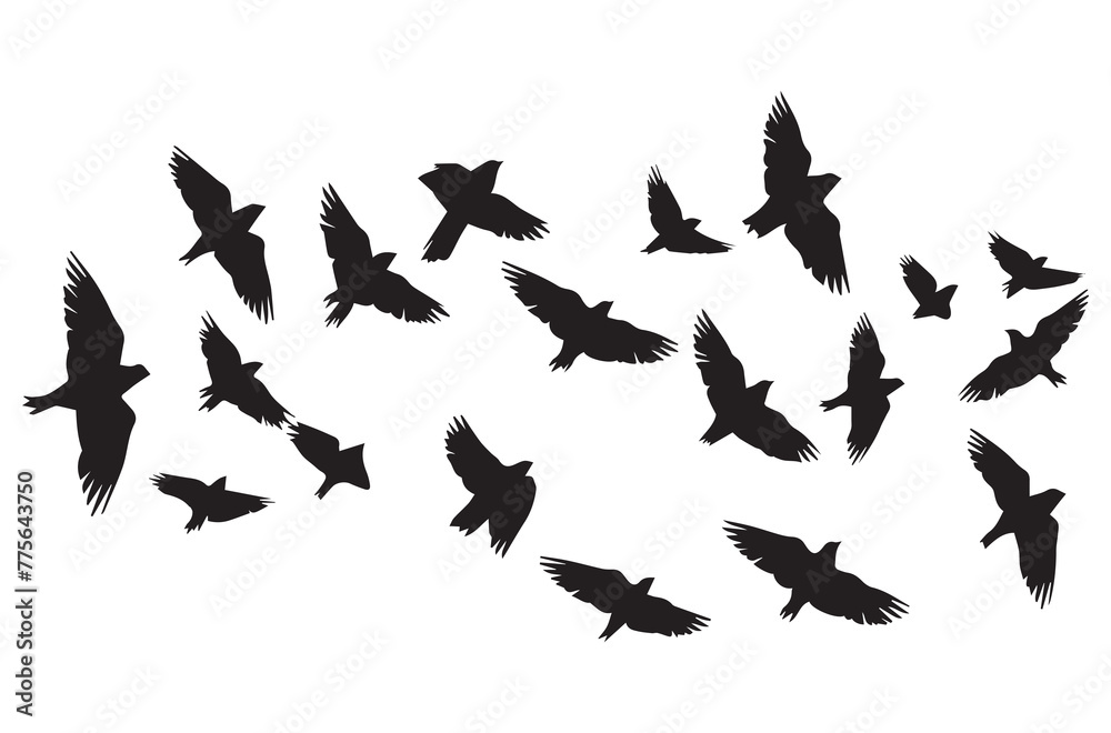 Flying birds black silhouettes set vector Flying birds black silhouettes set vector