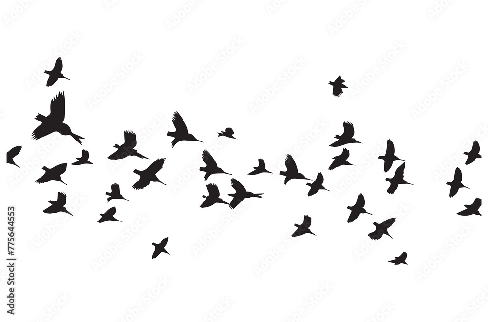 Obraz premium flying birds silhouette set flying birds icon set Set of flying birds silhouettes