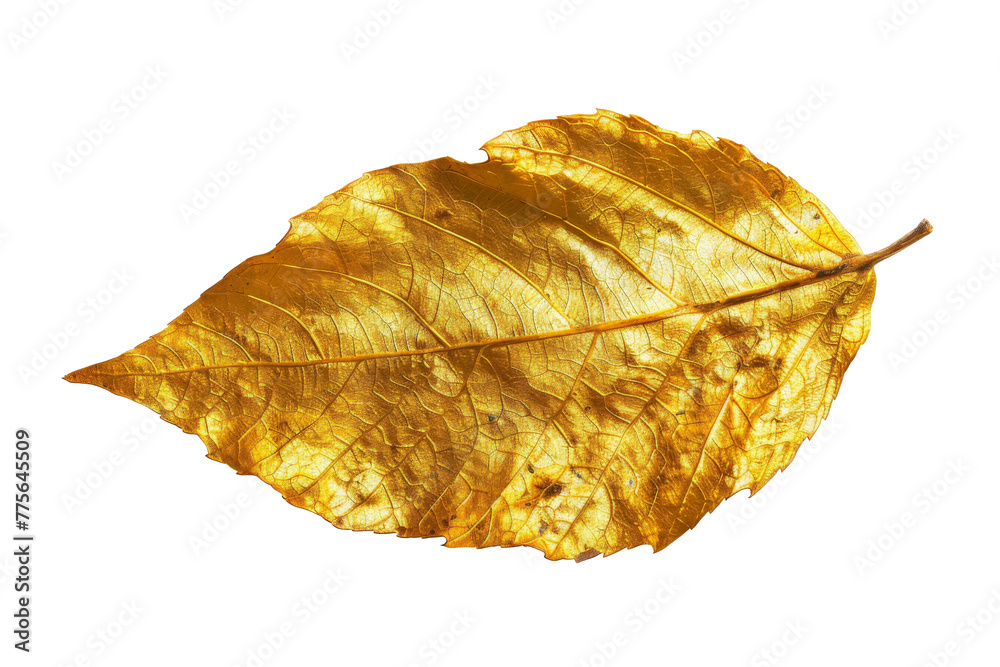 Fototapeta premium Glossy Golden leaves flowers for luxury decoration element isolated on background, shiny botanical plant, summer beautiful bouquets.