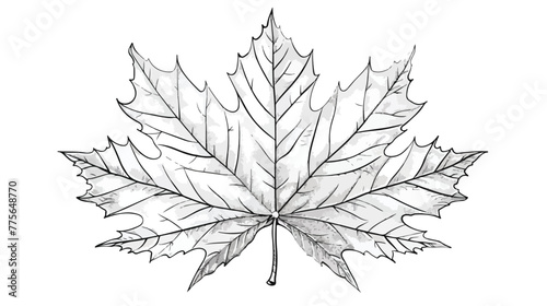Forest maple leaf isolated. Vector illustration.