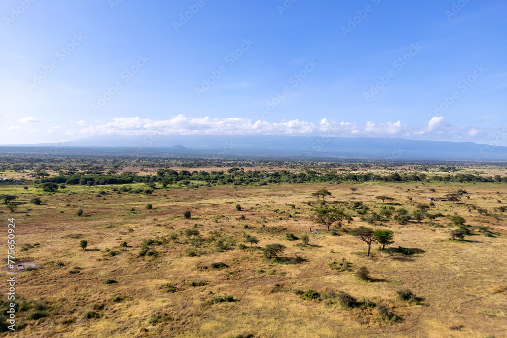 top view populated forest in Africa. African trees beautiful landscape of Kenya