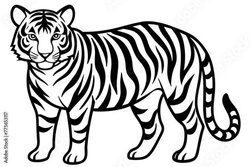 simple -tiger-vector-illustration © Jutish