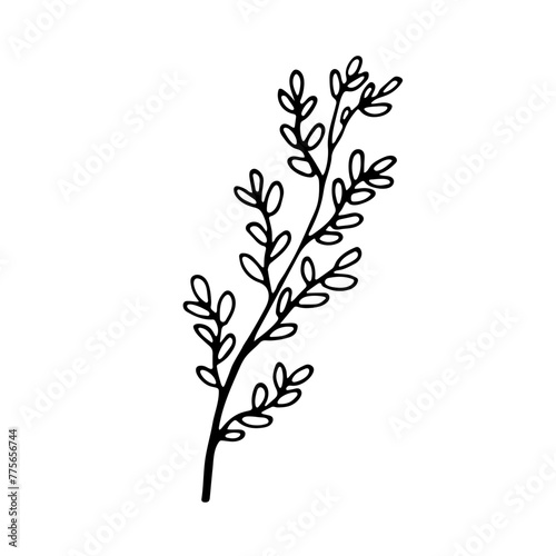 Simple decorative plants brunch with leaves for design. Black line doodle herb. Hand drawn clip art illustration in doodle style for poster  banner print  greeting card. Isolated on white background.