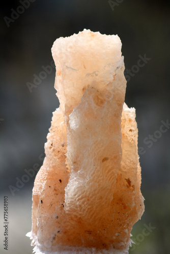 Pink tinted Himalayan salt (halite) with various natural shapes : (pix Sanjiv Shukla) photo