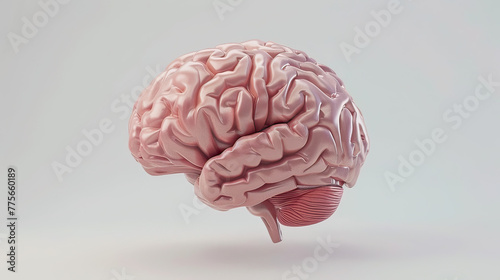 Minimalist 3D-rendered human brain, neuroscience study tool