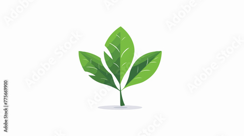 Leaf logo flat vector isolated on white background --