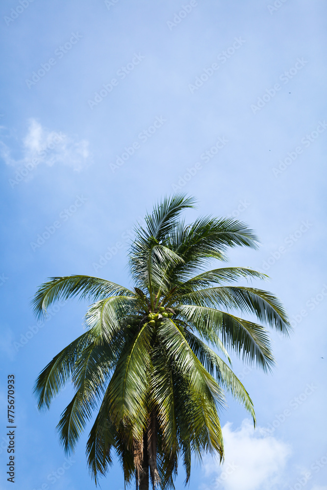 Palm trees with the blue sky. Vintage post processed. Fashion, travel, summer, vacation and tropical beach concept.