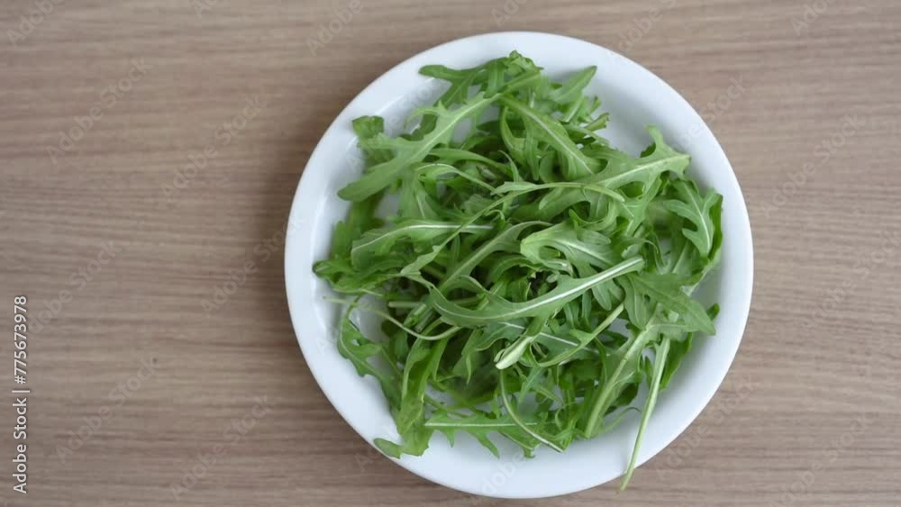 Female hands put a plate with arugula on the table Female hands put a plate with arugula on the table
