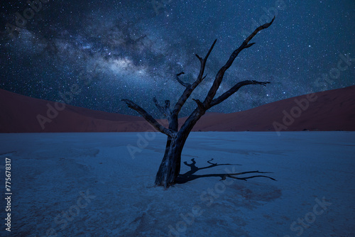 lky way in Death Valley in Namibia, dead desert trees and starry sky.