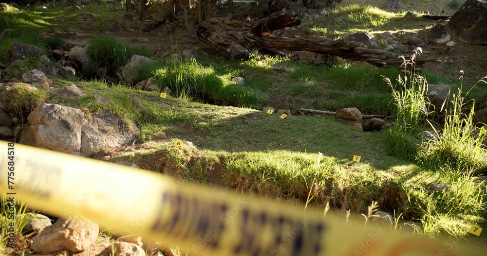 Crime scene, outdoor and forest for investigation, police and forensic background with yellow tape and lens flare. Security, inspection and search for clues or sample in woods or nature by rocks Crime scene, outdoor and forest for investigation, police and forensic background with yellow tape and lens flare. Security, inspection and search for clues or sample in woods or nature by rocks