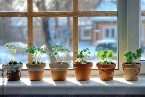 Small potted plants on a white window sill with a blurred background of a snowy landscape