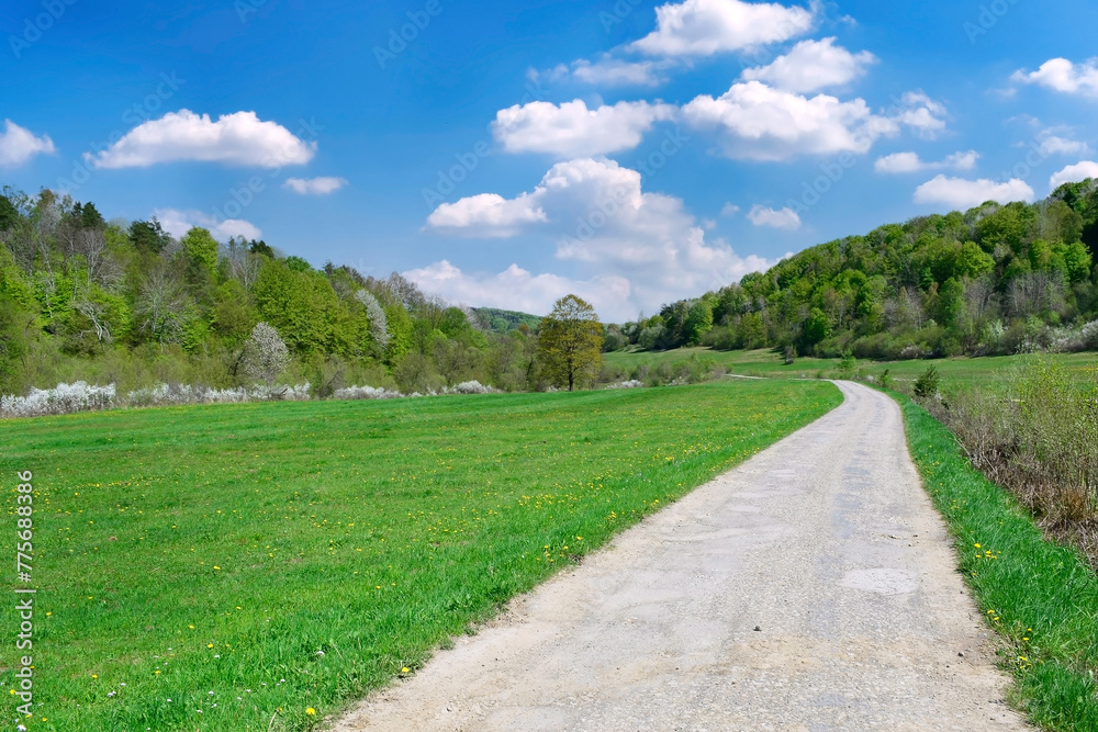 Dirt road through the green fields and forest in springtime on a blue sky with white clouds
