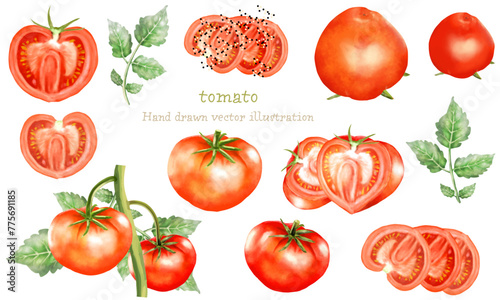 水彩で描いたトマトの素材セット