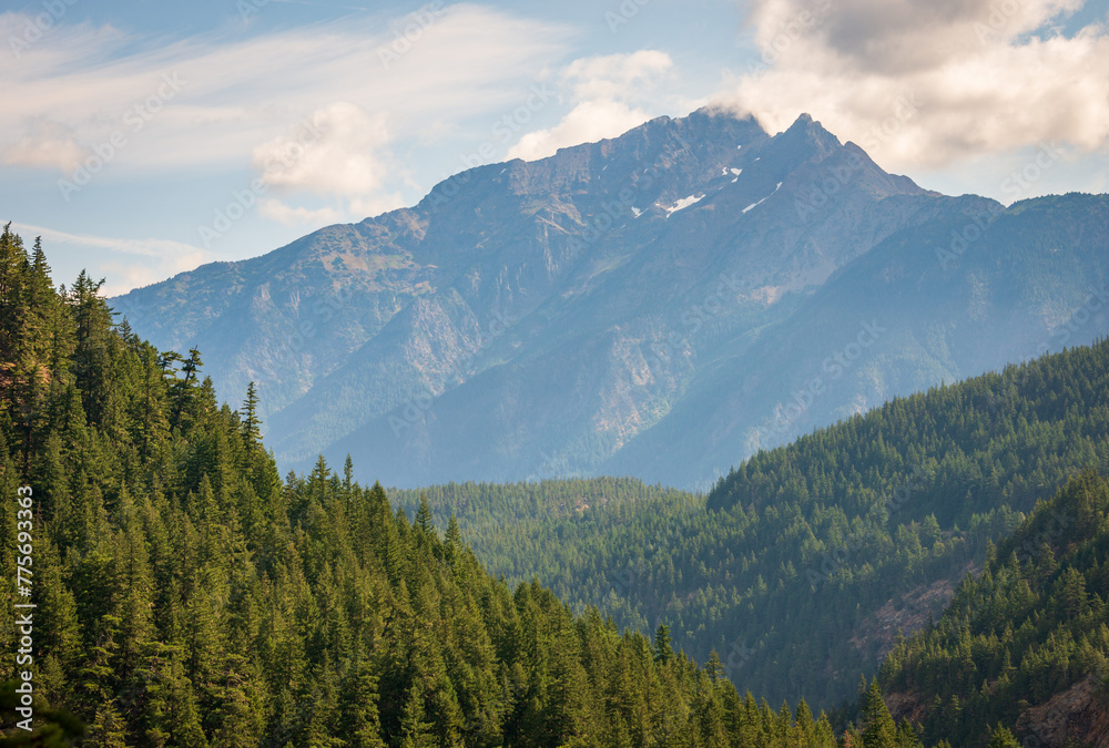 Fototapeta premium View of the Snow Covered Mountain Peaks and Forest at North Cascades National Park in Washington State