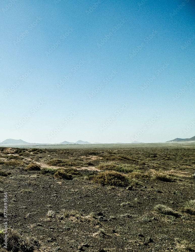 Desert landscape, Lanzarotte , Canary Islands.