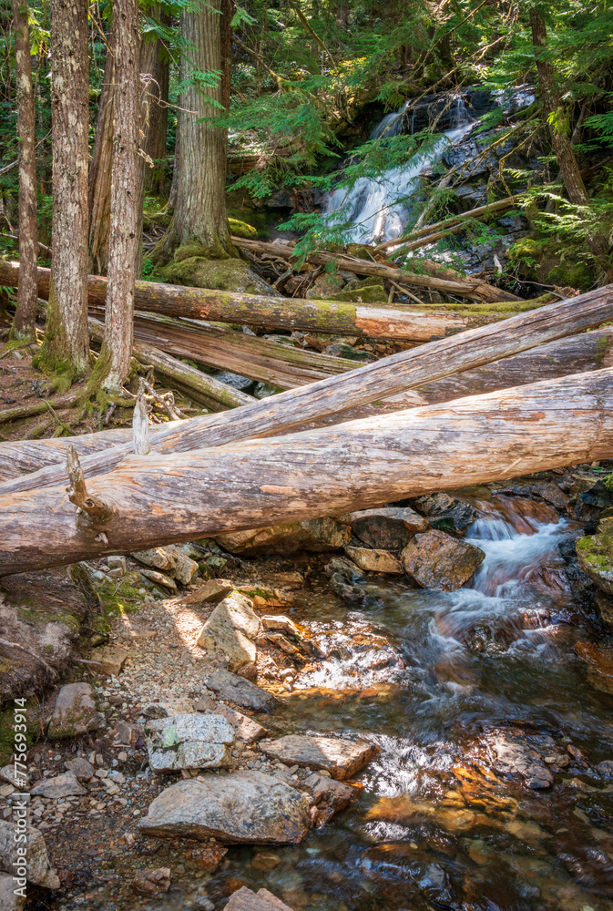 A Waterfall at North Cascades National Park in Washington State A Waterfall at North Cascades National Park in Washington State