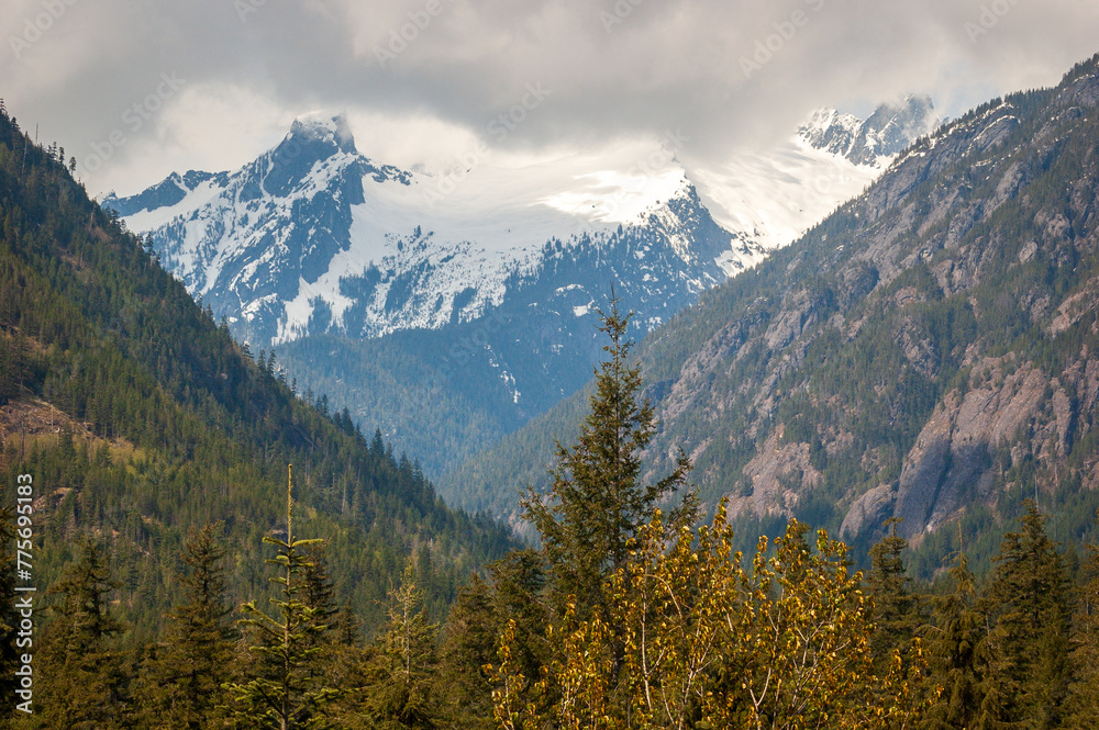 View of the Snow Covered Mountain Peaks and Forest at North Cascades National Park in Washington State