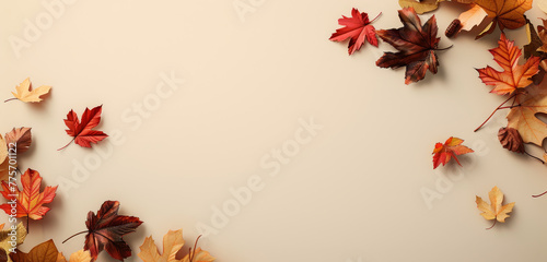 Assorted dry autumn leaves on a cream backdrop.