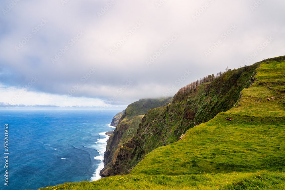 A picturesque coastal landscape in Madeira. Visible are houses surrounded by greenery, mountains, and the azure sea. The harmony of nature and human habitation.