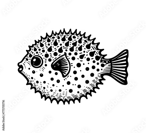 Puffers Fish hand drawn vector illustration
