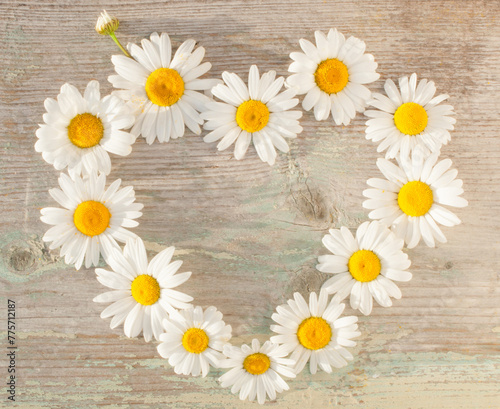 Daisies arranged in the shape of a heart