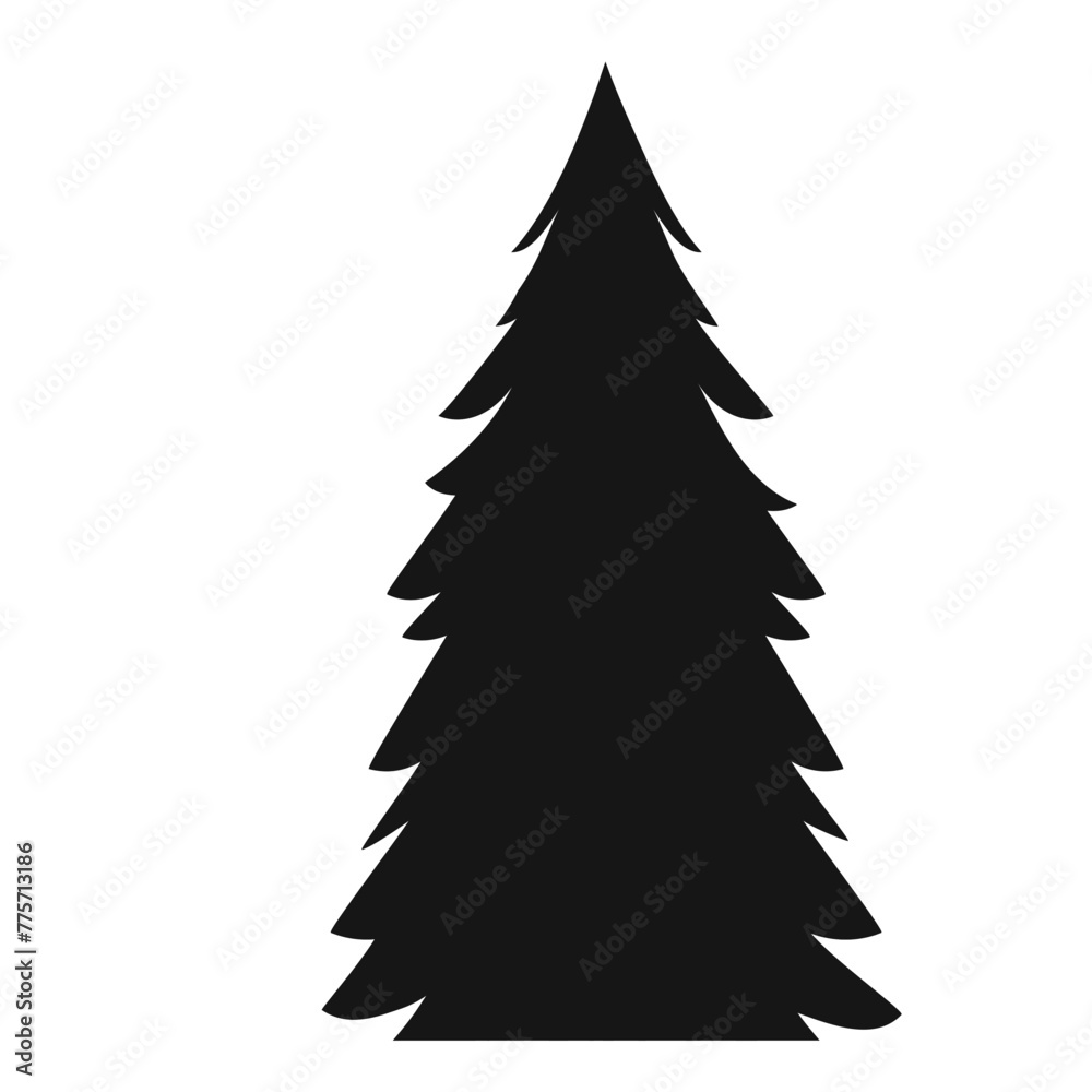 Fototapeta premium Pine tree silhouette