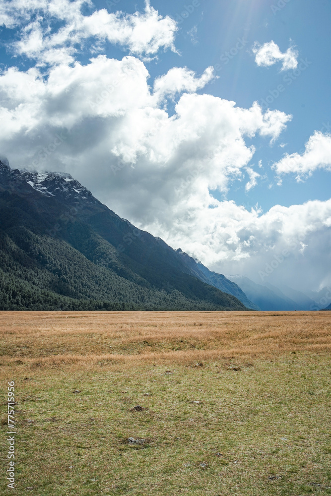 Fototapeta premium Majestic Milford Sound Overnight Cruise in New Zealand