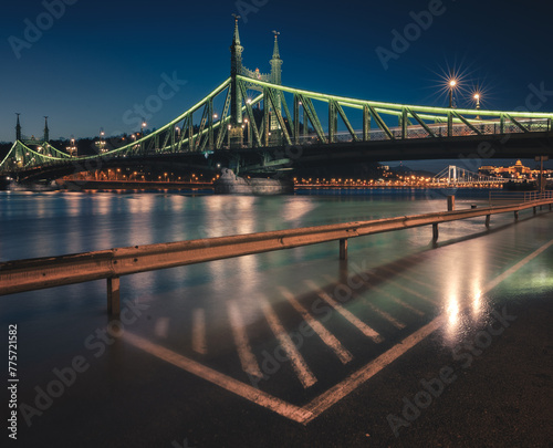 Famous Liberty bridge in Bu...