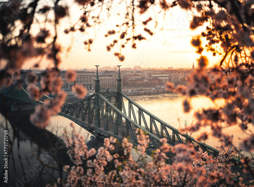 Beautiful Liberty Bridge wi...
