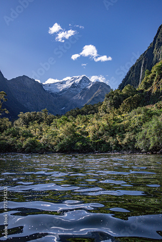 Majestic Milford Sound Overnight Cruise in New Zealand