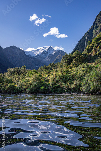 Majestic Milford Sound Overnight Cruise in New Zealand