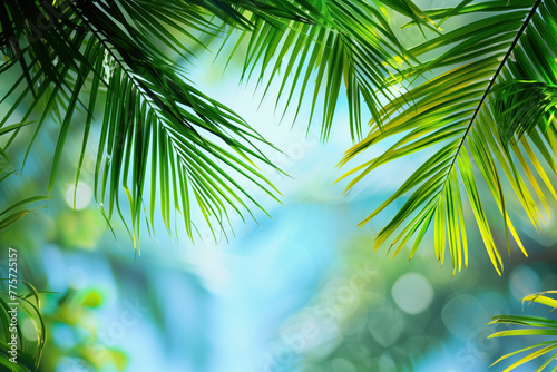 Palm tree leaves framing a tropical scenery with blue sky and sunshine. Slide background image. Created with Generative AI technology.