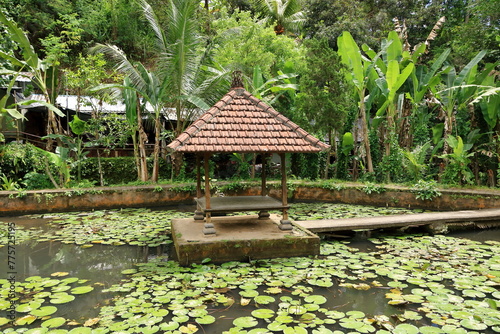 Green garden at Goa Gajah (Elephant Cave) Temple near Ubud, Bali, Indonesia photo