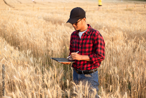 Farmer using digital tablet in barley field on sunny day, Smart farming, Business agriculture technology concept. © SOMKID