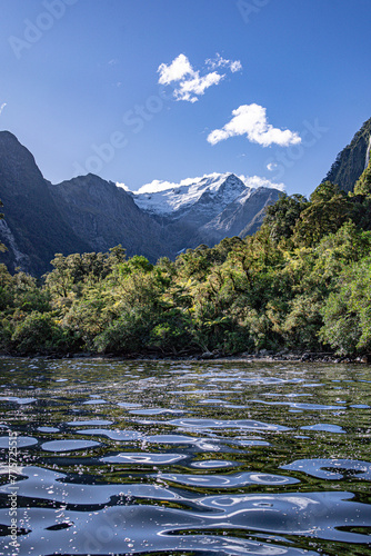 Majestic Milford Sound Overnight Cruise in New Zealand