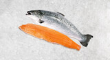 Raw Salmon with whole Fillet on Ice on white Background