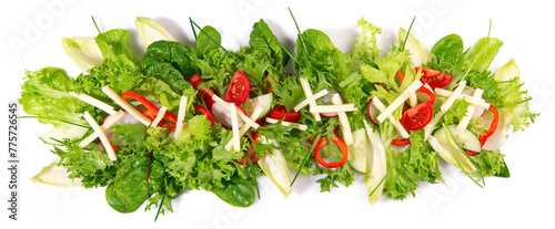 Mixed Salad with sliced Ham and Cheese - Fresh Lettuce Panorama isolated on white Background