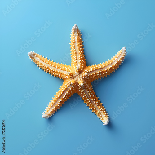 A single starfish centered on a solid blue background.